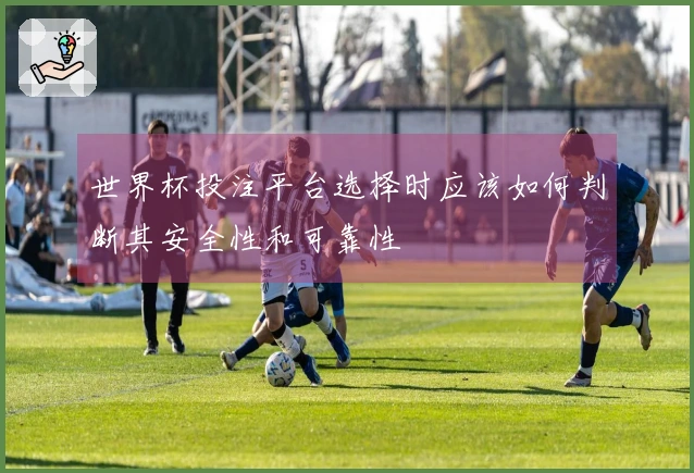 世界杯投注平台选择时应该如何判断其安全性和可靠性