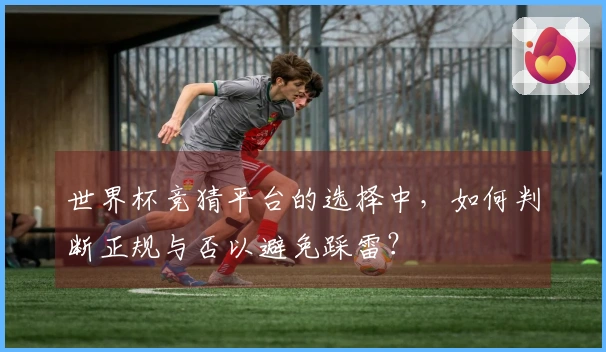 世界杯竞猜平台的选择中，如何判断正规与否以避免踩雷？