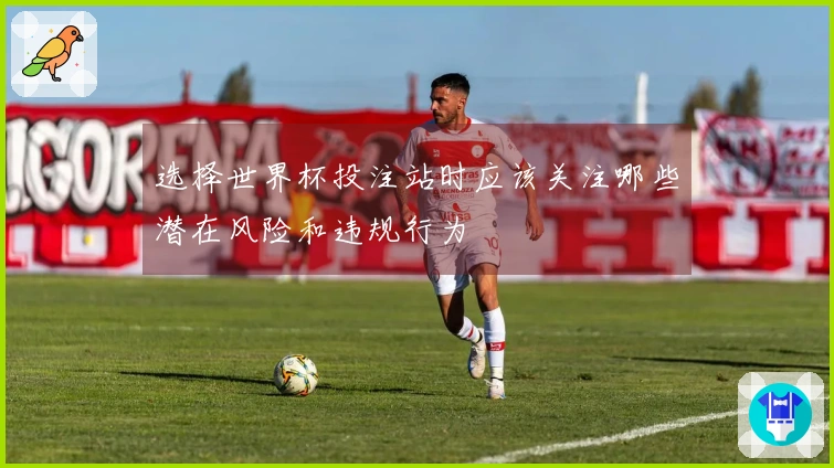 选择世界杯投注站时应该关注哪些潜在风险和违规行为
