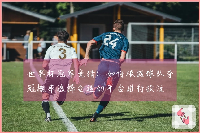 世界杯冠军竞猜：如何根据球队夺冠概率选择合适的平台进行投注