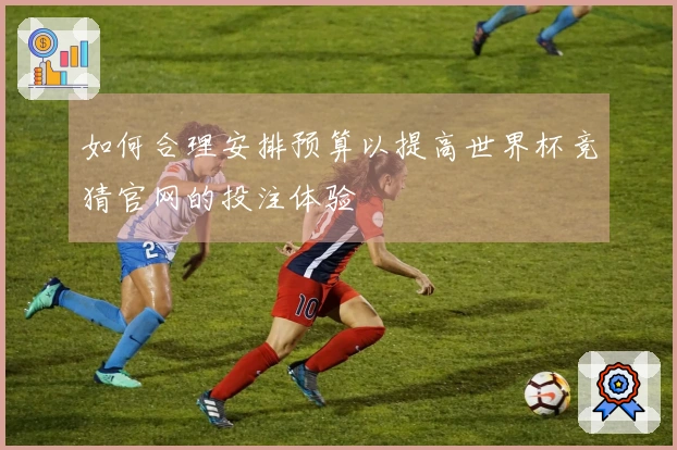 如何合理安排预算以提高世界杯竞猜官网的投注体验