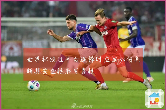 世界杯投注平台选择时应该如何判断其安全性和可靠性