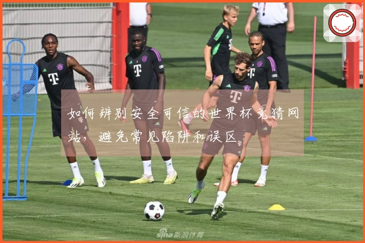 如何辨别安全可信的世界杯竞猜网站，避免常见陷阱和误区