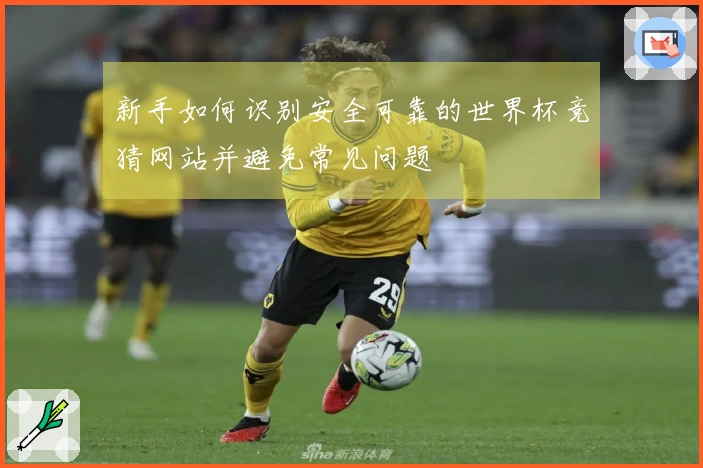 新手如何识别安全可靠的世界杯竞猜网站并避免常见问题