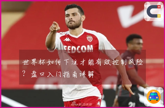 世界杯如何下注才能有效控制风险？盘口入门指南详解