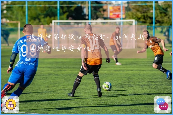 选择世界杯投注网站时，如何判断其稳定性与安全性？