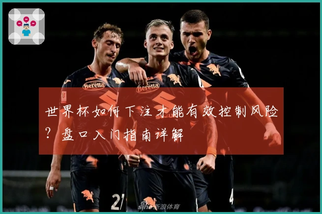世界杯如何下注才能有效控制风险？盘口入门指南详解